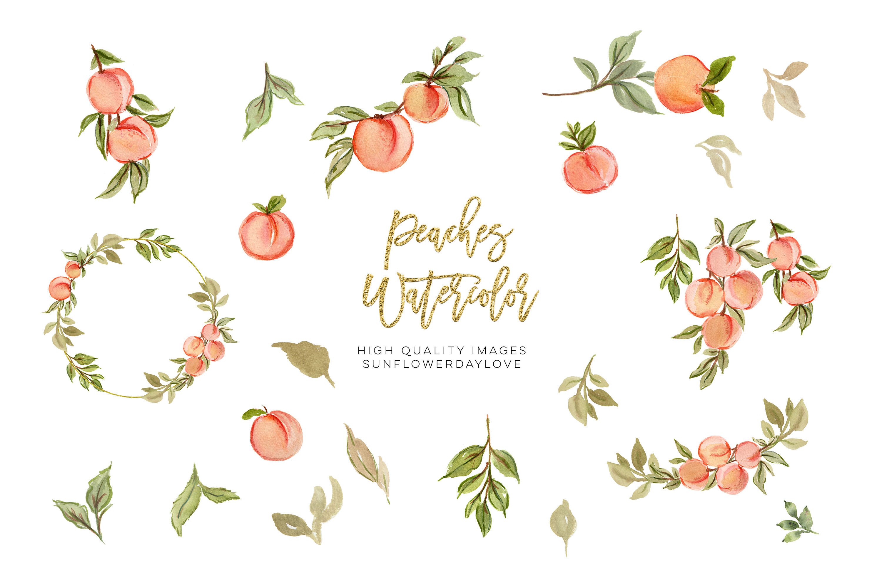 Peaches Watercolor Elements Clipart Peach Fruit Clipart Peach Leaves By Sunflower Day Love 5371