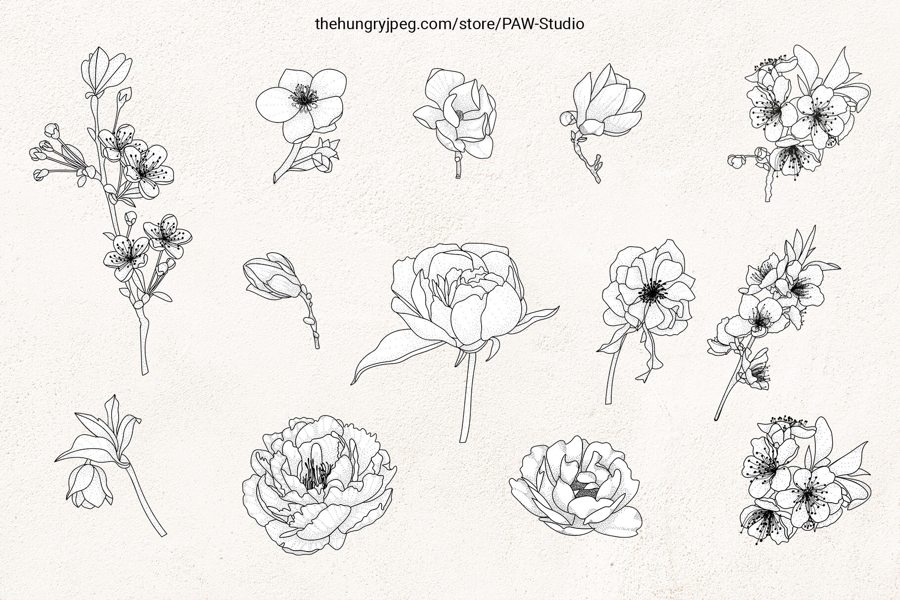 Download Floral Sketch Line Art Flower Svg Frame Botanical Monogram By Paw Studio Thehungryjpeg Com