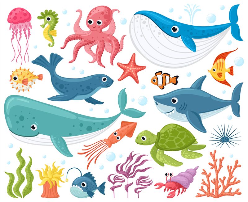 Cartoon sea animals. Cute ocean fish, octopus, shark and turtle, jelly By  WinWin_artlab