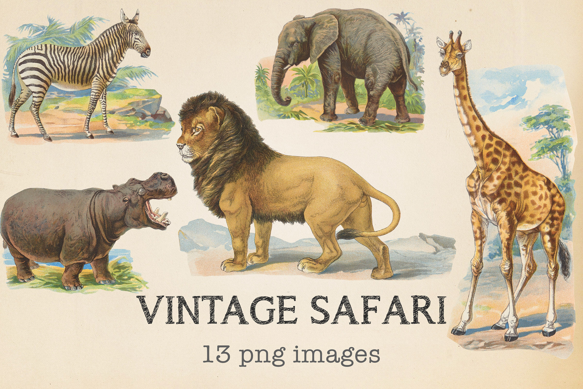 Vintage Safari Animals By North Sea Studio | TheHungryJPEG