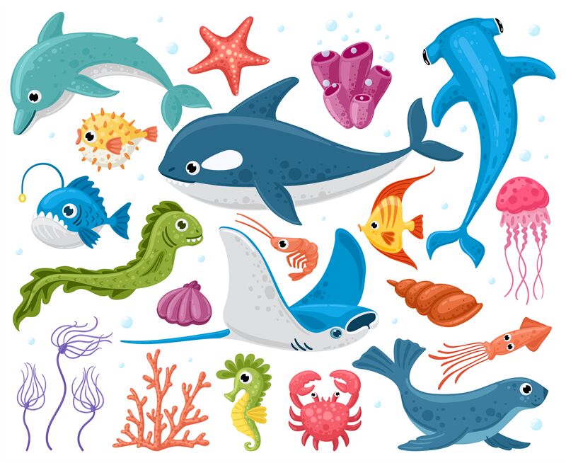 Ocean animals. Cartoon marine wildlife creatures, orca, stingray, crab By  WinWin_artlab | TheHungryJPEG