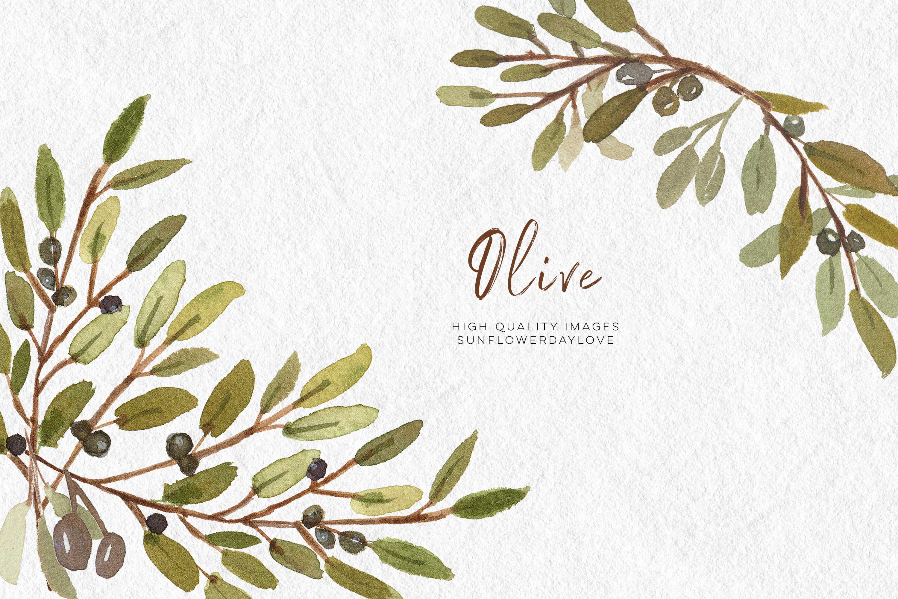 Olive Branch Watercolor Clip Art, Olive Botanical Leaves Illustrations By Sunflower Day Love | Thehungryjpeg.com