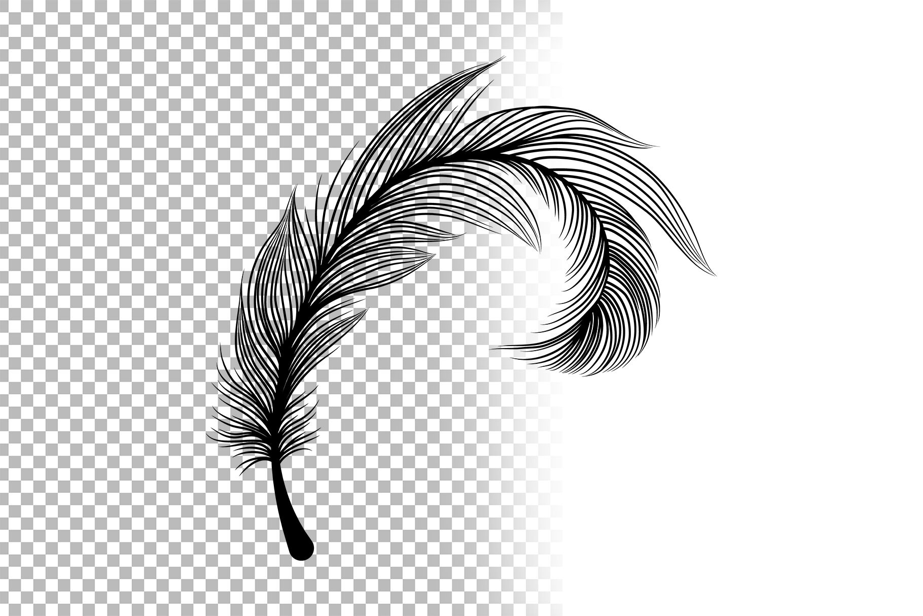 Black Feathers Stencil Boho Line Art Design Elements By ilonitta