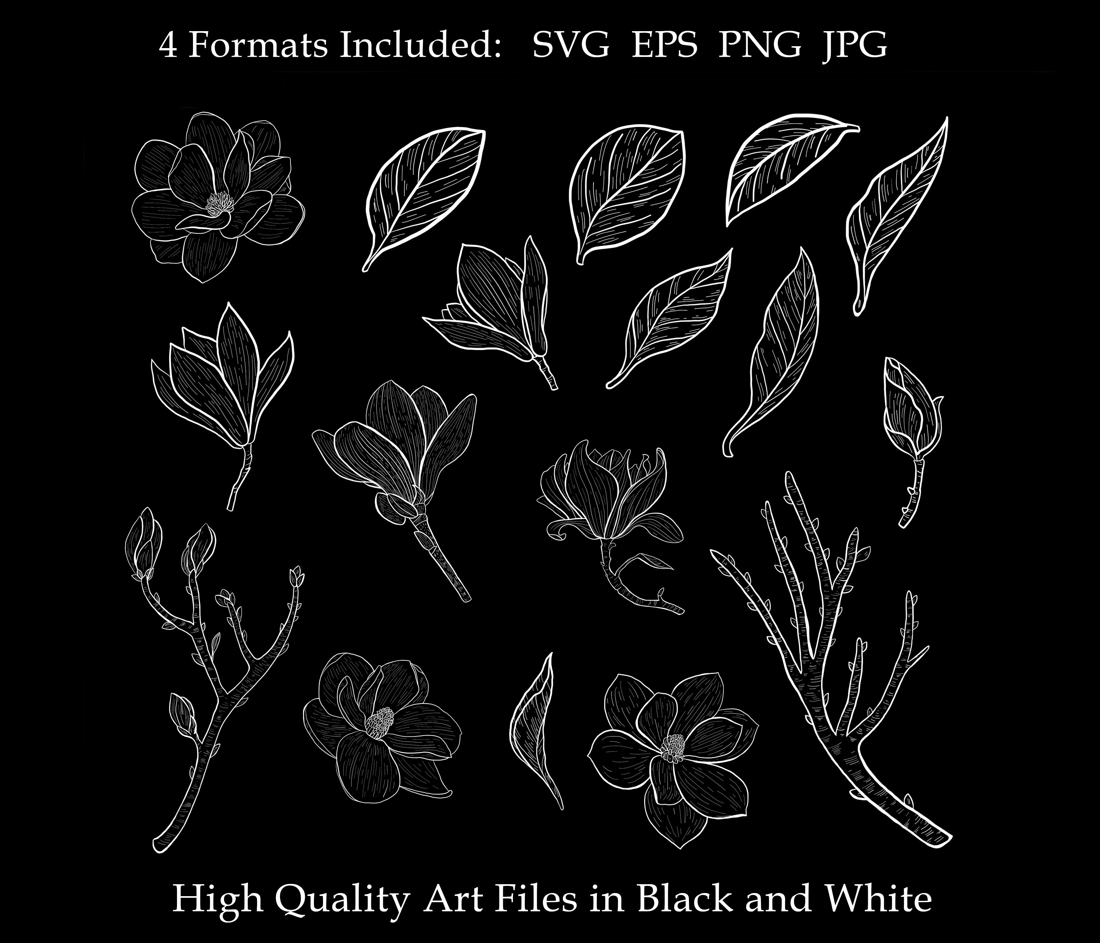 Download Botanical Magnolia Clipart Hand Drawn Floral Element Leaves Flower Wedding Foliage Branch Spring Decorate Collection Vector Set Png Eps Svg Craft Supplies Tools Embellishments Seasonalliving Com