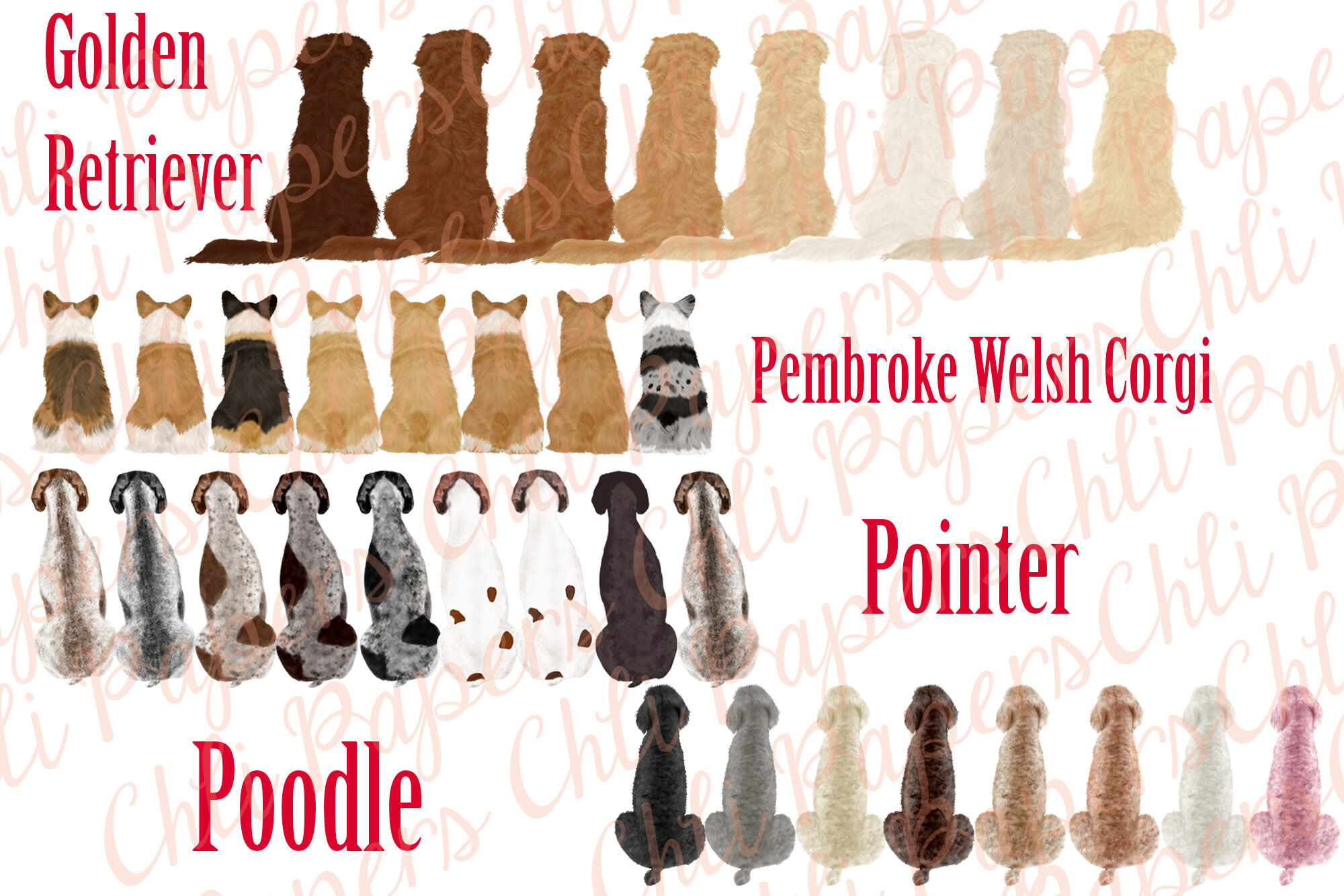 Dog Breeds Clipart,Dogs clip art,Pets Illustrations,Puppies By ...