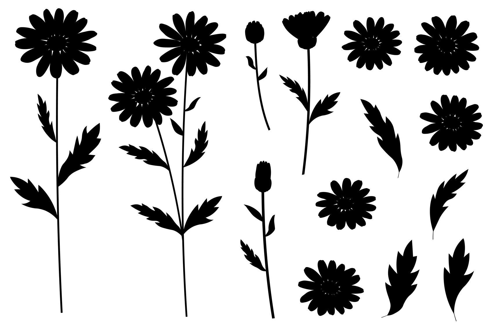 Free Free 316 Daisy Flower Silhouette Svg SVG PNG EPS DXF File