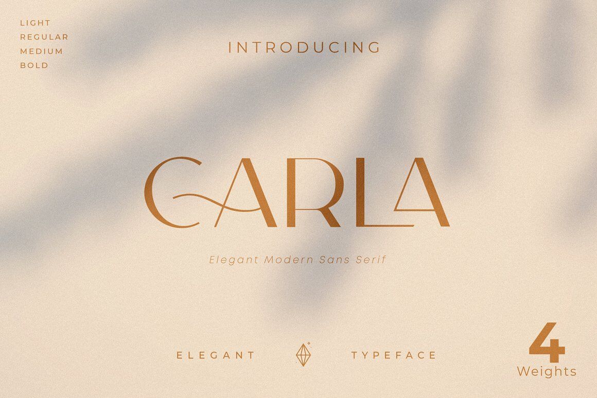 Carla Sans - Elegant Typeface By Creative Corner | TheHungryJPEG