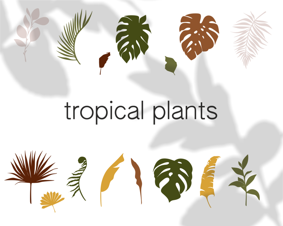 Download Tropical Plants Clipart Sheets Svg Vector Palm Leaf Jungle By Yanamides Thehungryjpeg Com