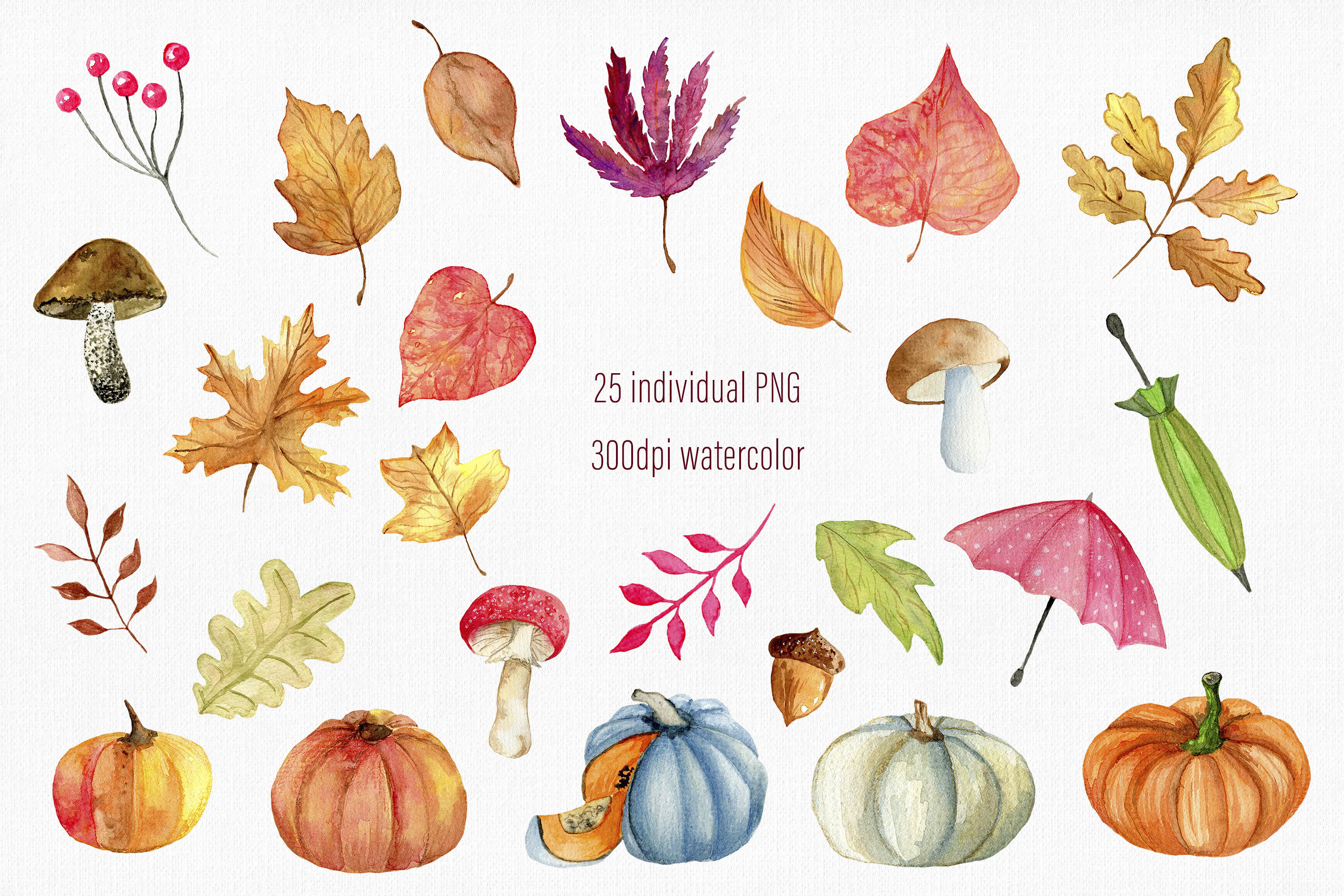 Watercolor autumn clipart / Fall clipart / Pumpkin clipart / Autumn pn ...