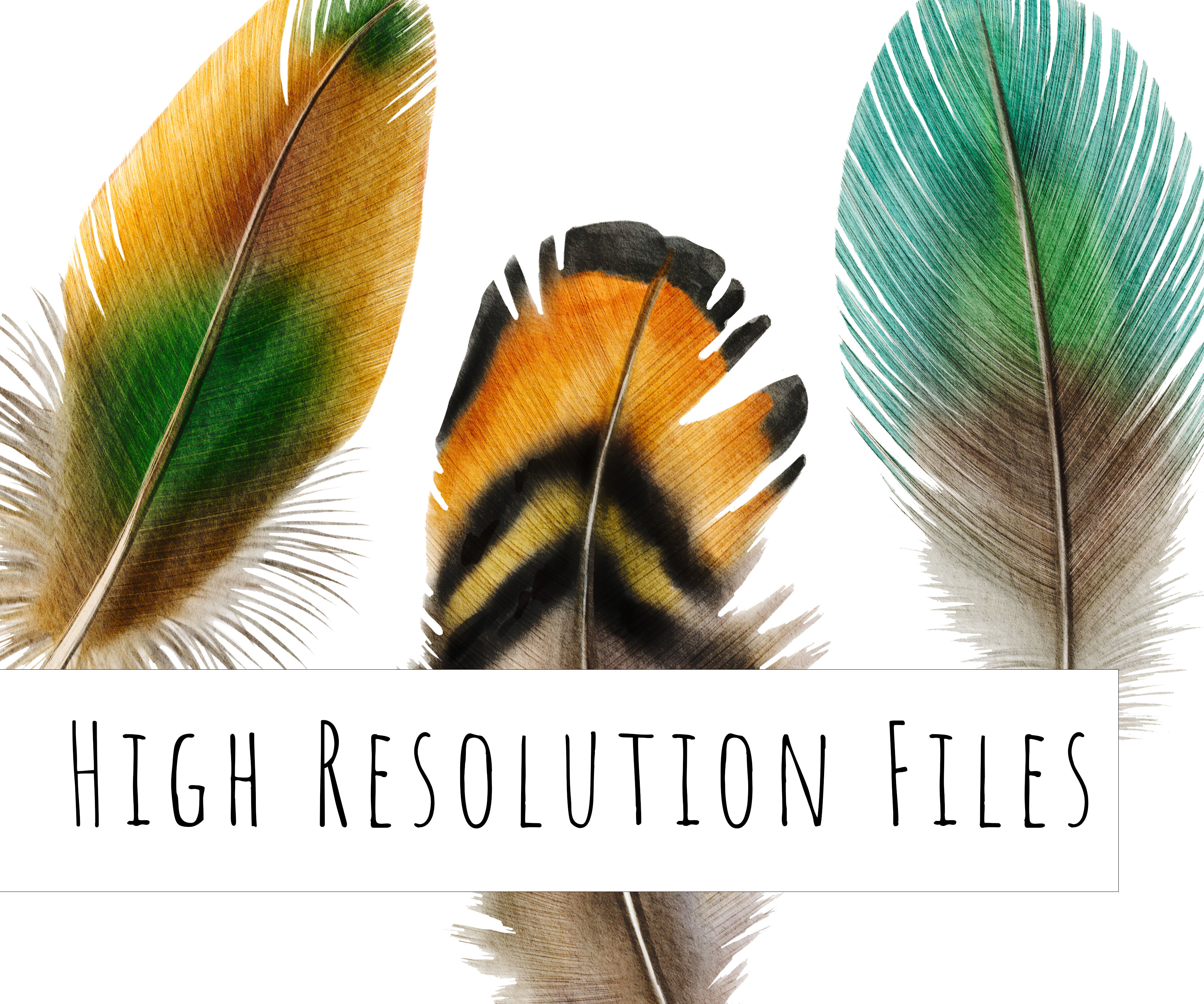 OhSoLovelyBlog-Free-Gold-Feathers  Nature color palette, Feather  illustration, Feather graphic