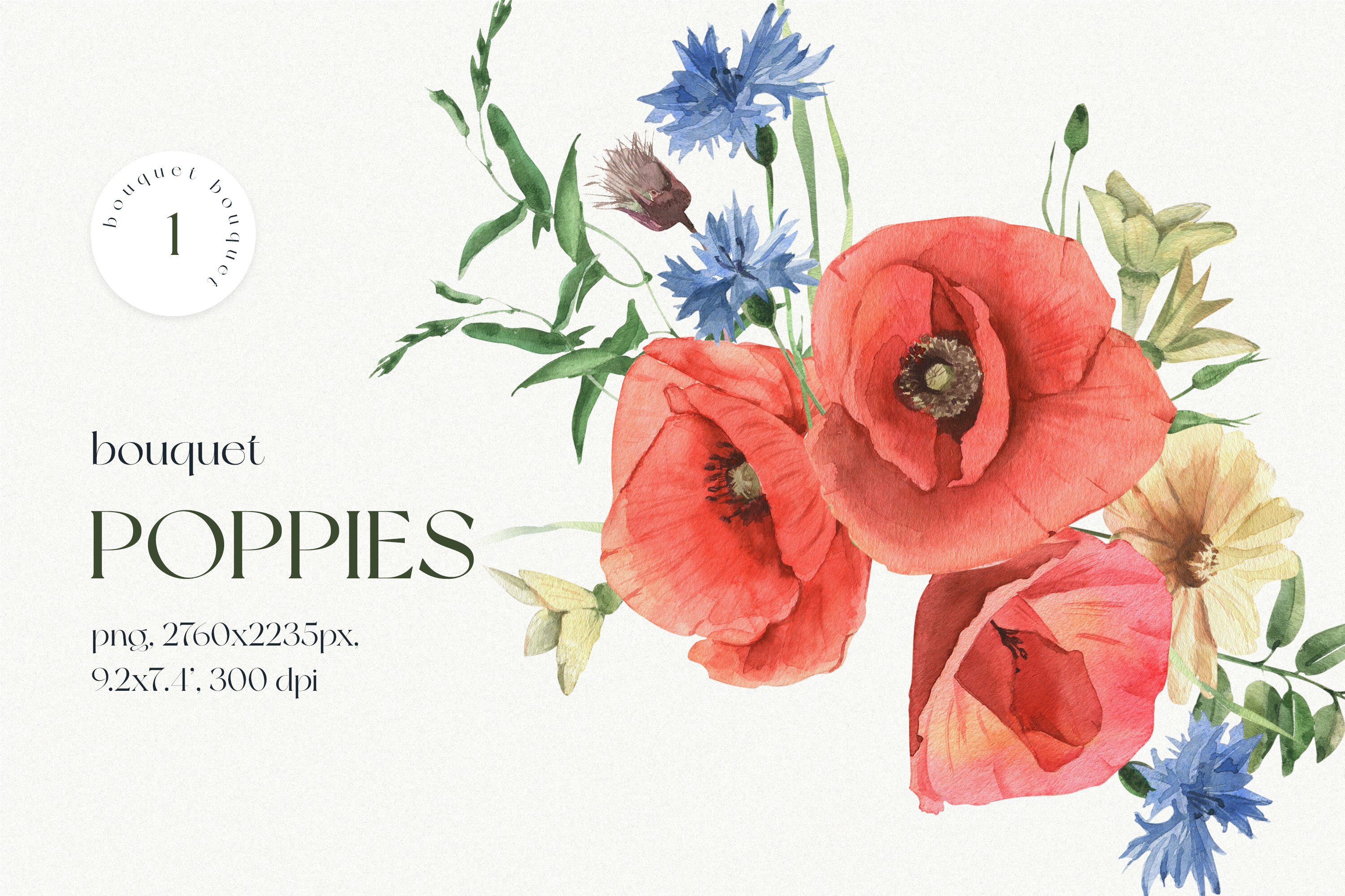 Watercolor Bouquet of Poppies By BolshoyMaArt | TheHungryJPEG