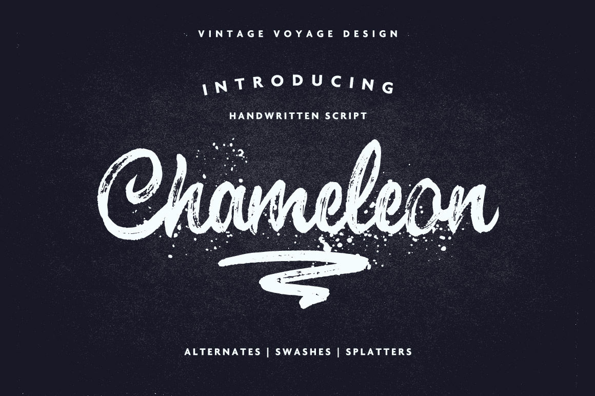 Chameleon Impressive Brush Script By Vintage Voyage Thehungryjpeg Com