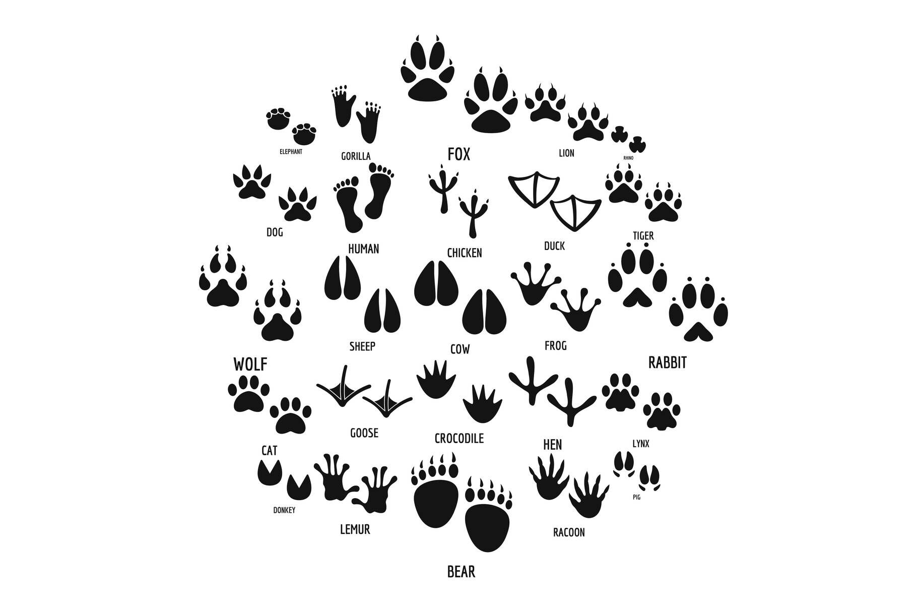 Animal footprint icons set, simple style By Anatolir56 | TheHungryJPEG