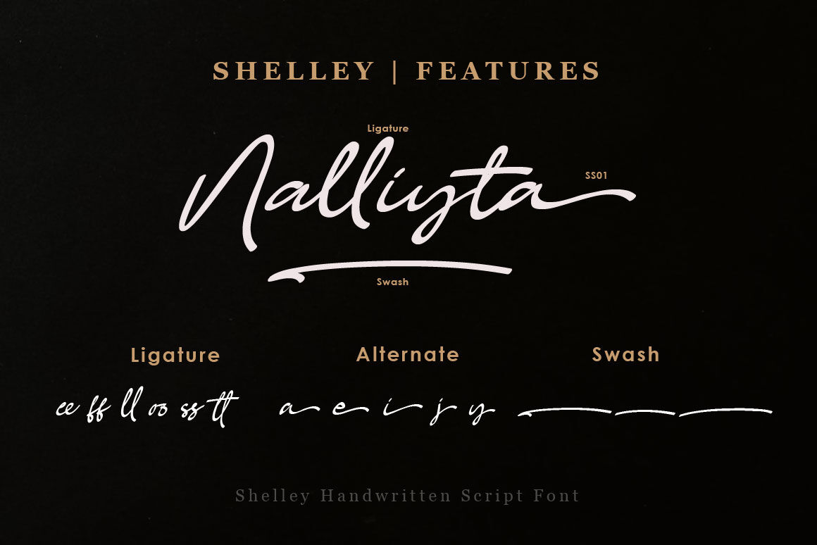 Shelley - Brush Script Font By Balevgraph Studio | TheHungryJPEG.com