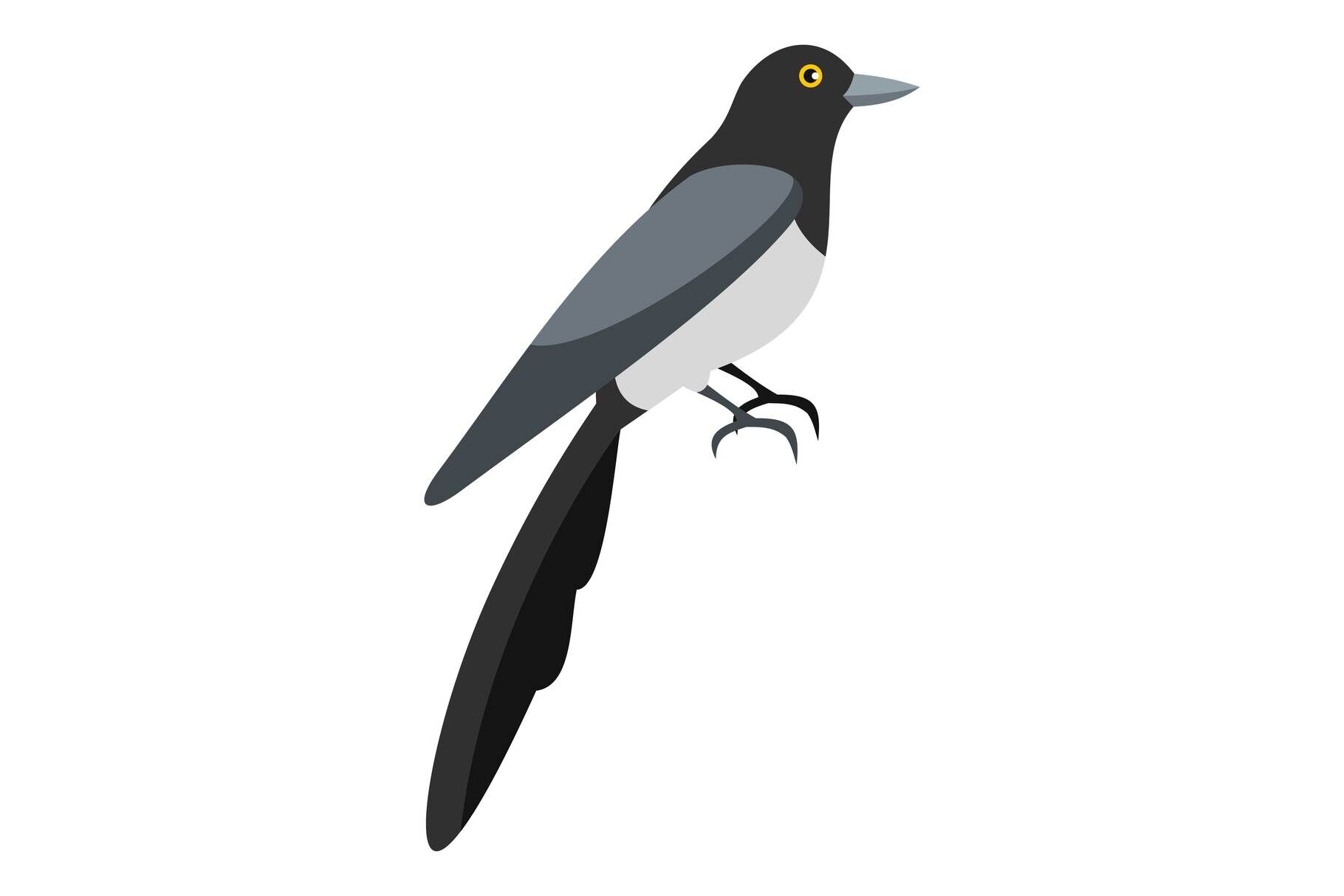 Magpie icon, flat style By Anatolir56 | TheHungryJPEG