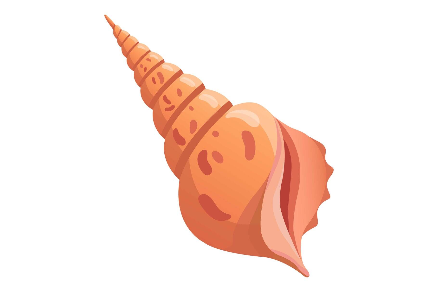 Long shell icon, cartoon style By Anatolir56 | TheHungryJPEG