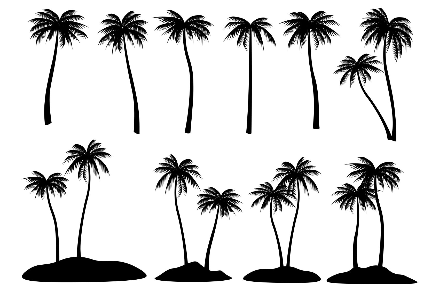 palm trees silhouette