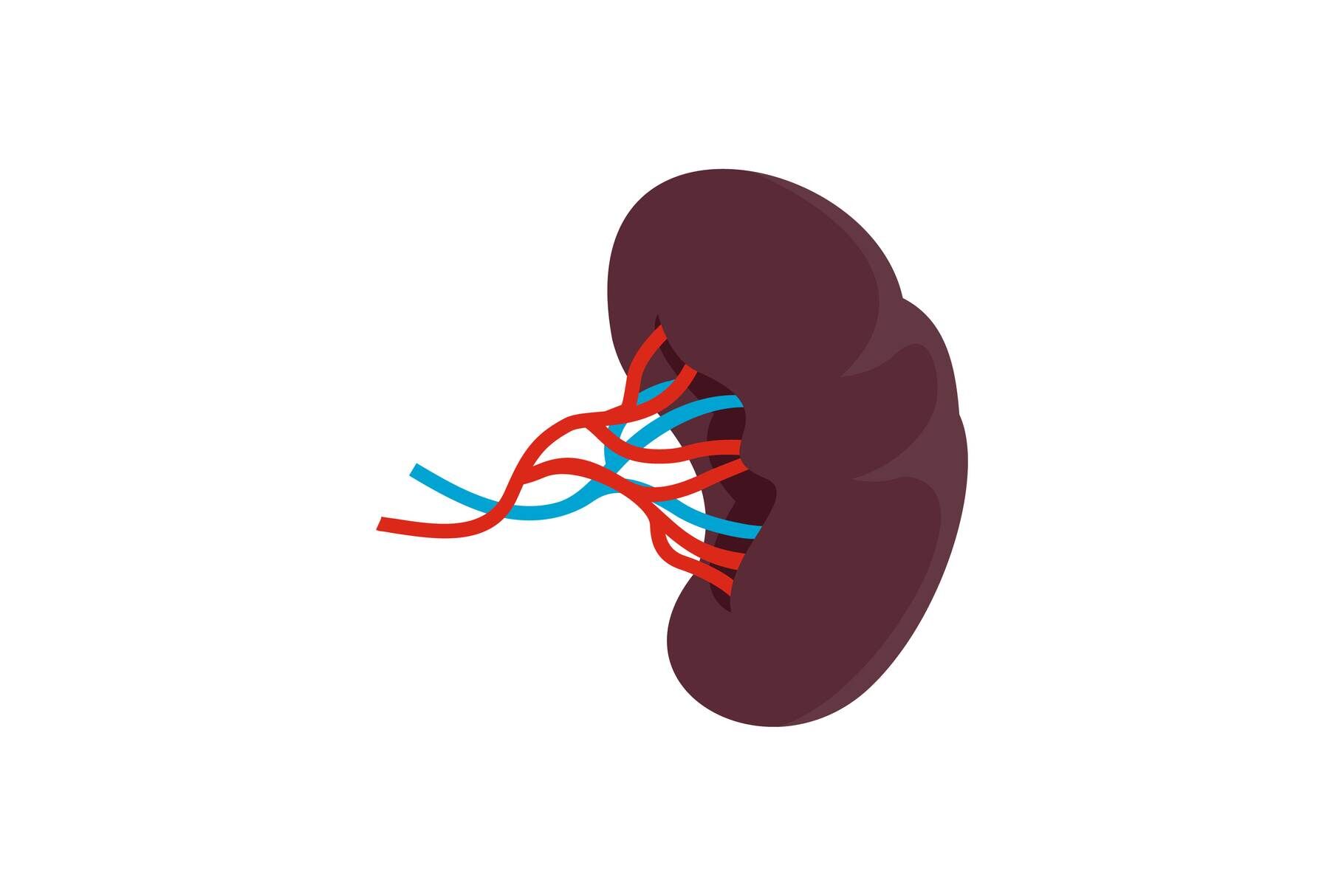 Sick kidney icon, flat style By Anatolir56 | TheHungryJPEG