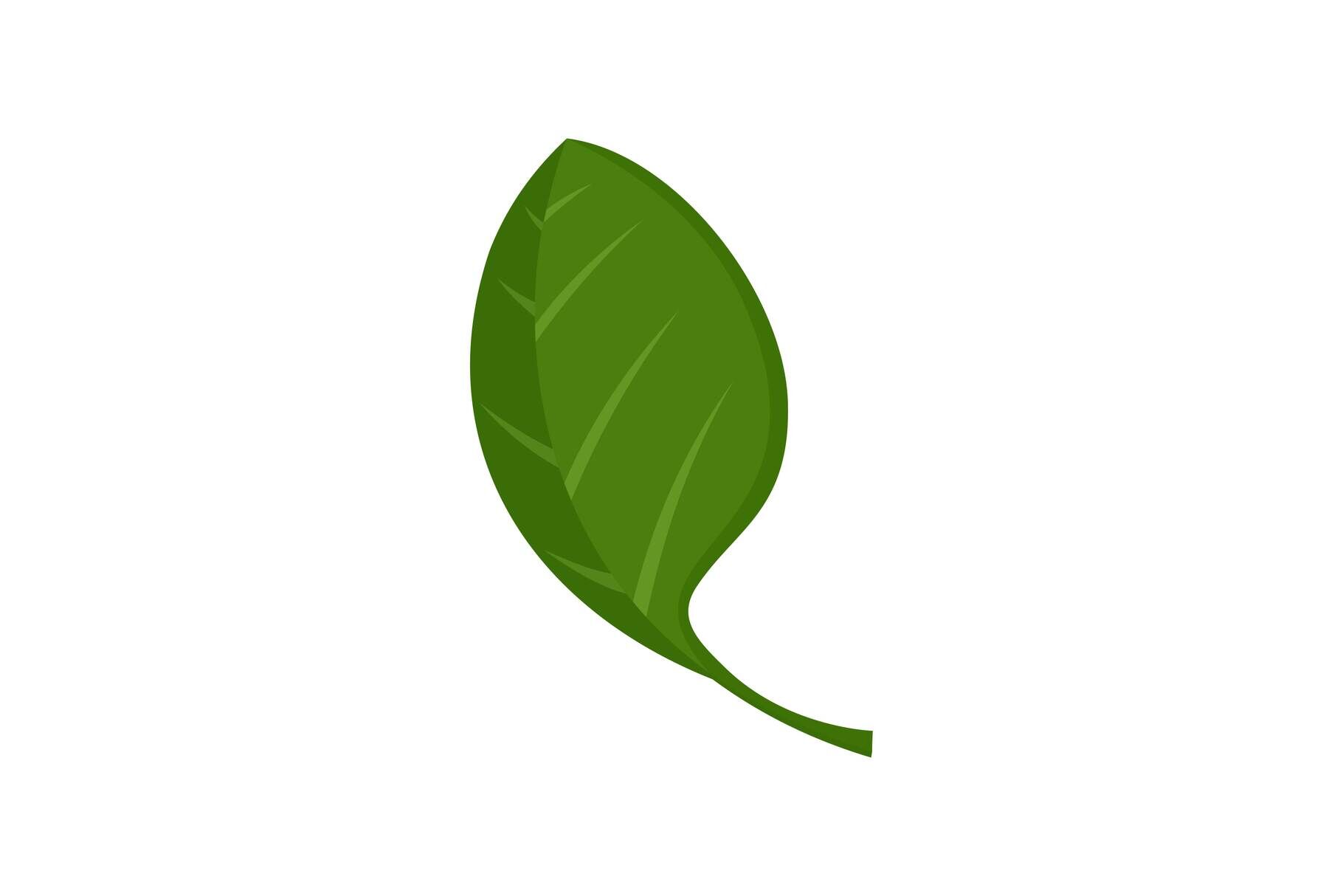 Spinach leaf icon, flat style By Anatolir56 | TheHungryJPEG