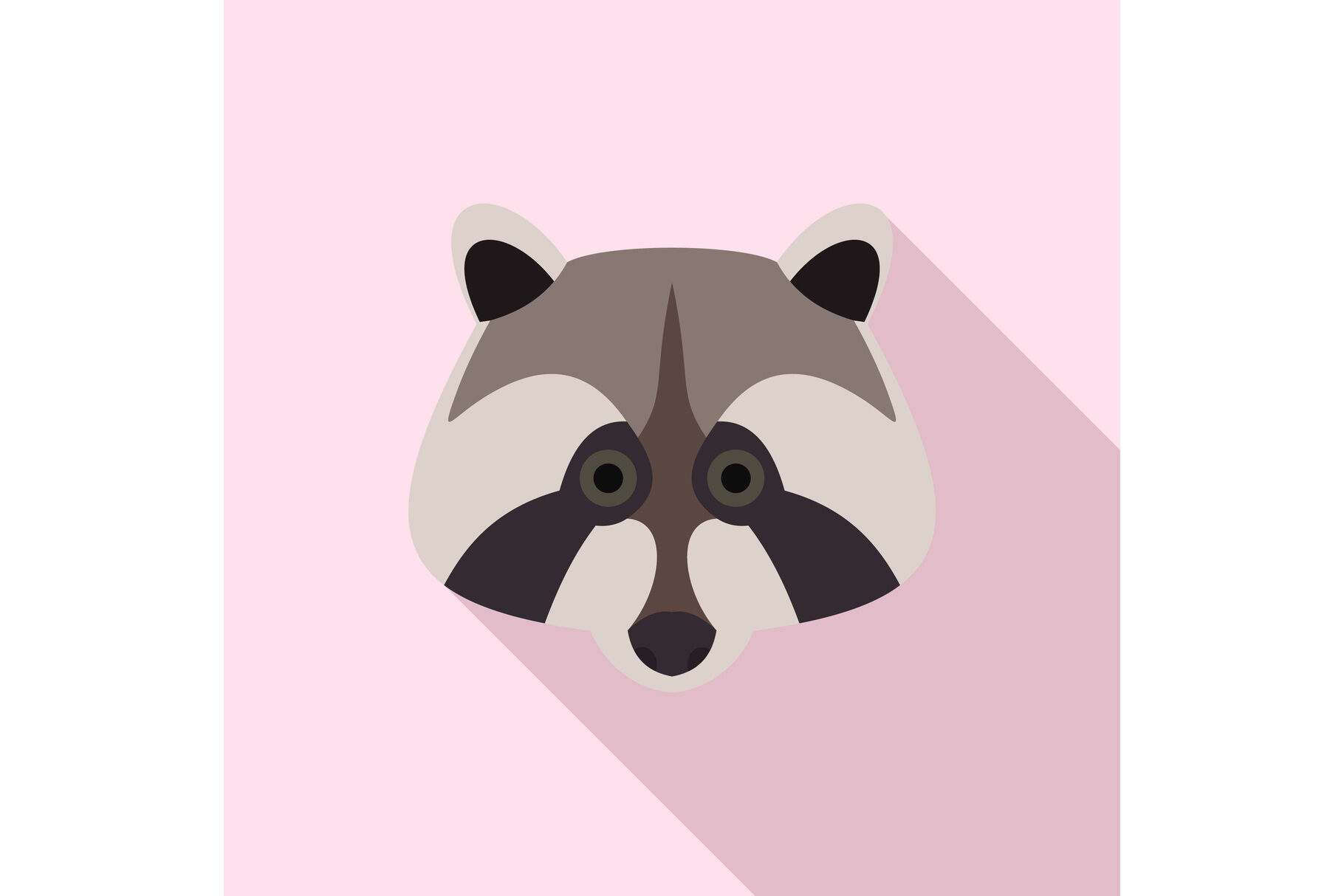 Raccoon Icon Aesthetic