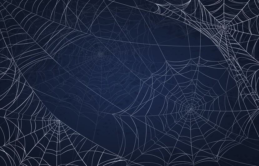 Spider web background for halloween. Spooky pattern with realistic cob By  Tartila | TheHungryJPEG