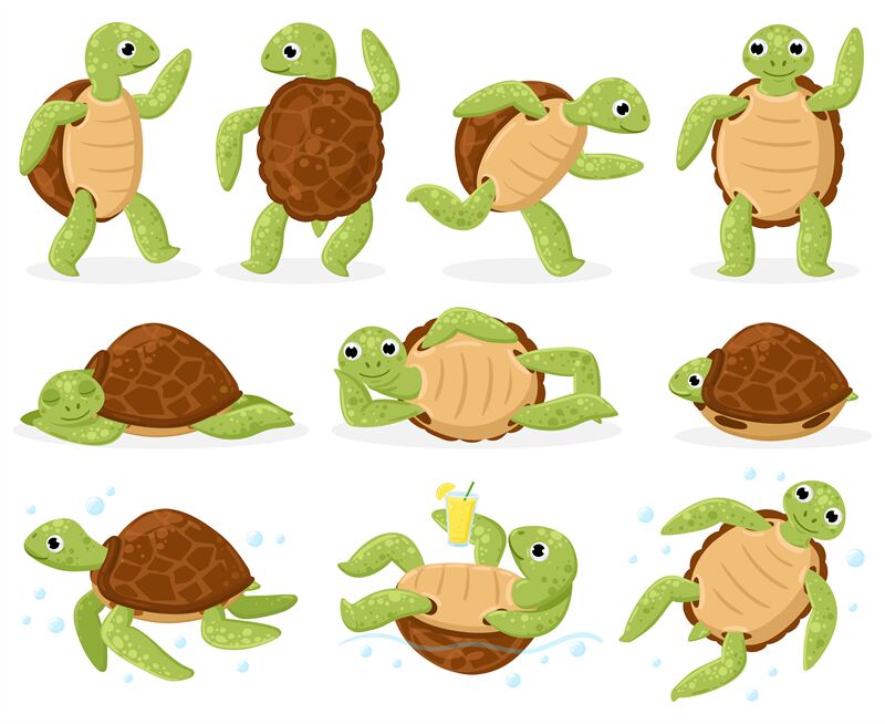 cartoon turtles cute