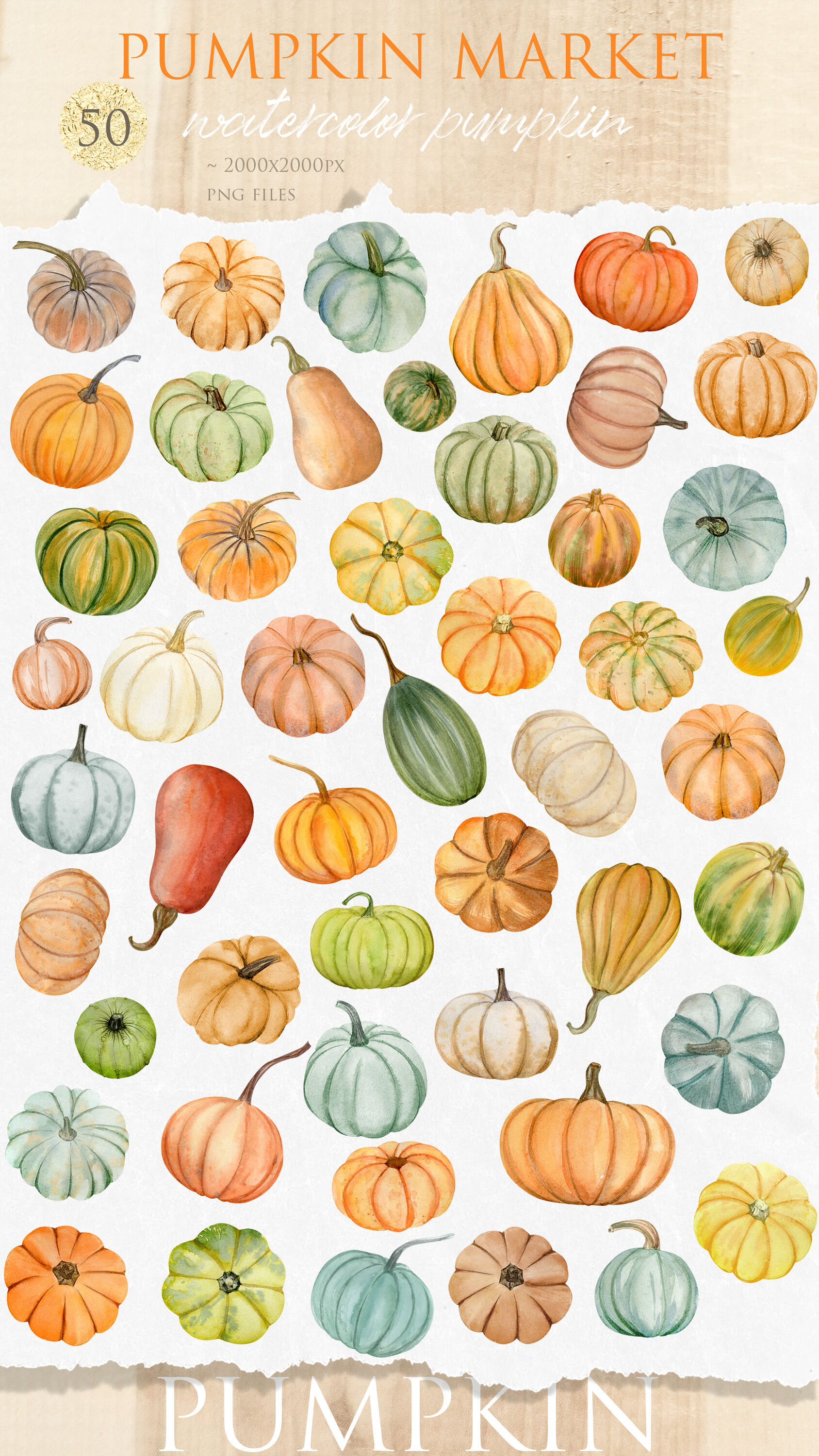Pumpkin Market Watercolor Clipart By NataAr | TheHungryJPEG