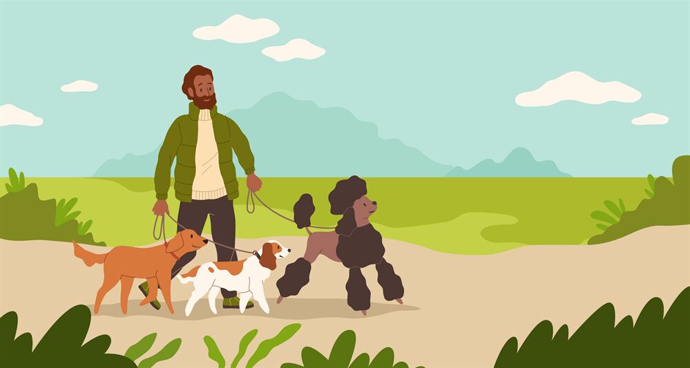 Dogsitter. Man walking dogs in park. Male character leads puppies on l By  YummyBuum | TheHungryJPEG