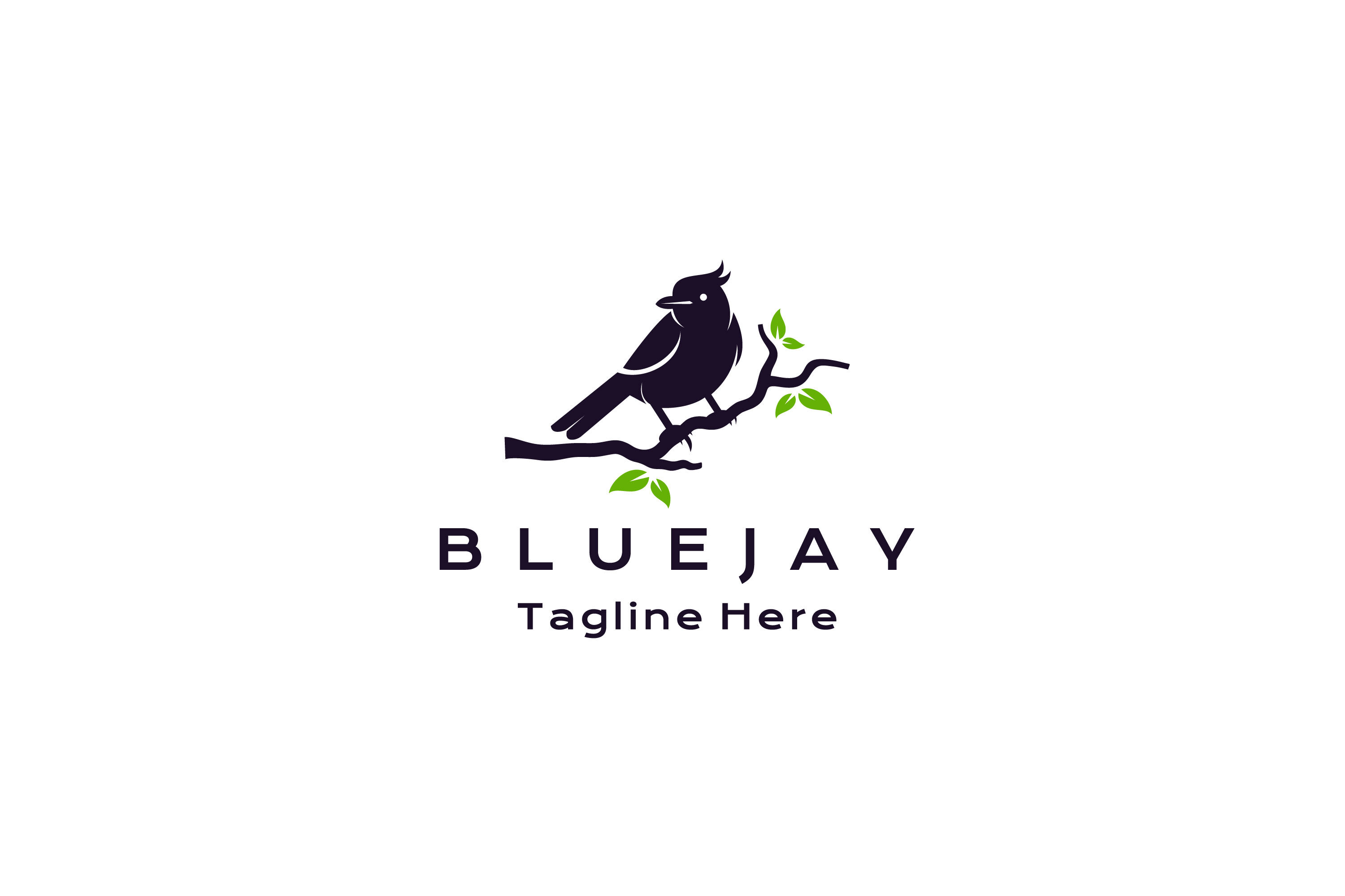 Blue Jay Silhouette Vectors By The Silhouette Queen | TheHungryJPEG