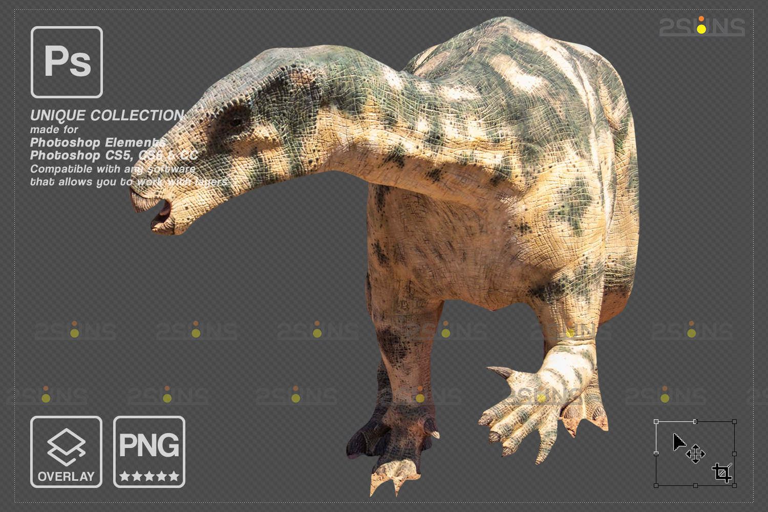 T-Rex , Tyrannosaurus Rex Png , T-Rex Dinosaur Png , Dino Png , Digital  Clipart Png , Digital Downloads