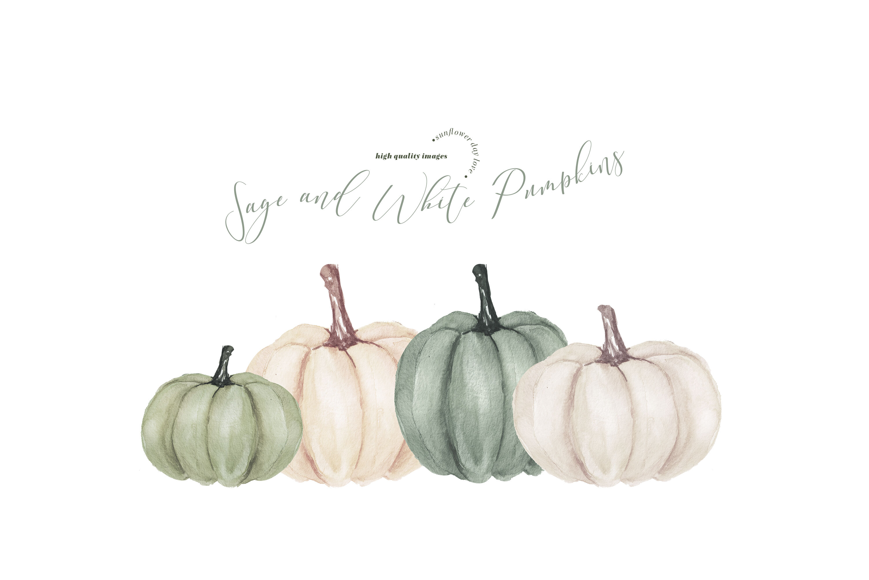 Elegant Sage and White Pumpkins Clipart, Watercolor Fall Pumpkin By ...
