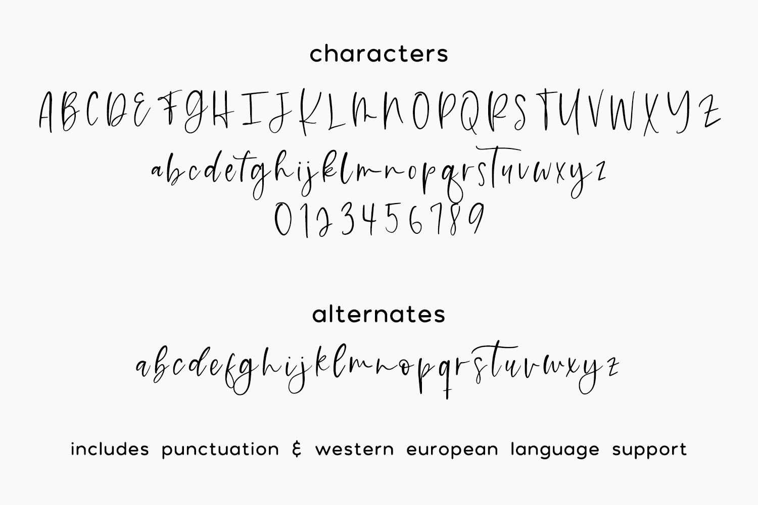 Honeycrisp Script By Beck McCormick TheHungryJPEG