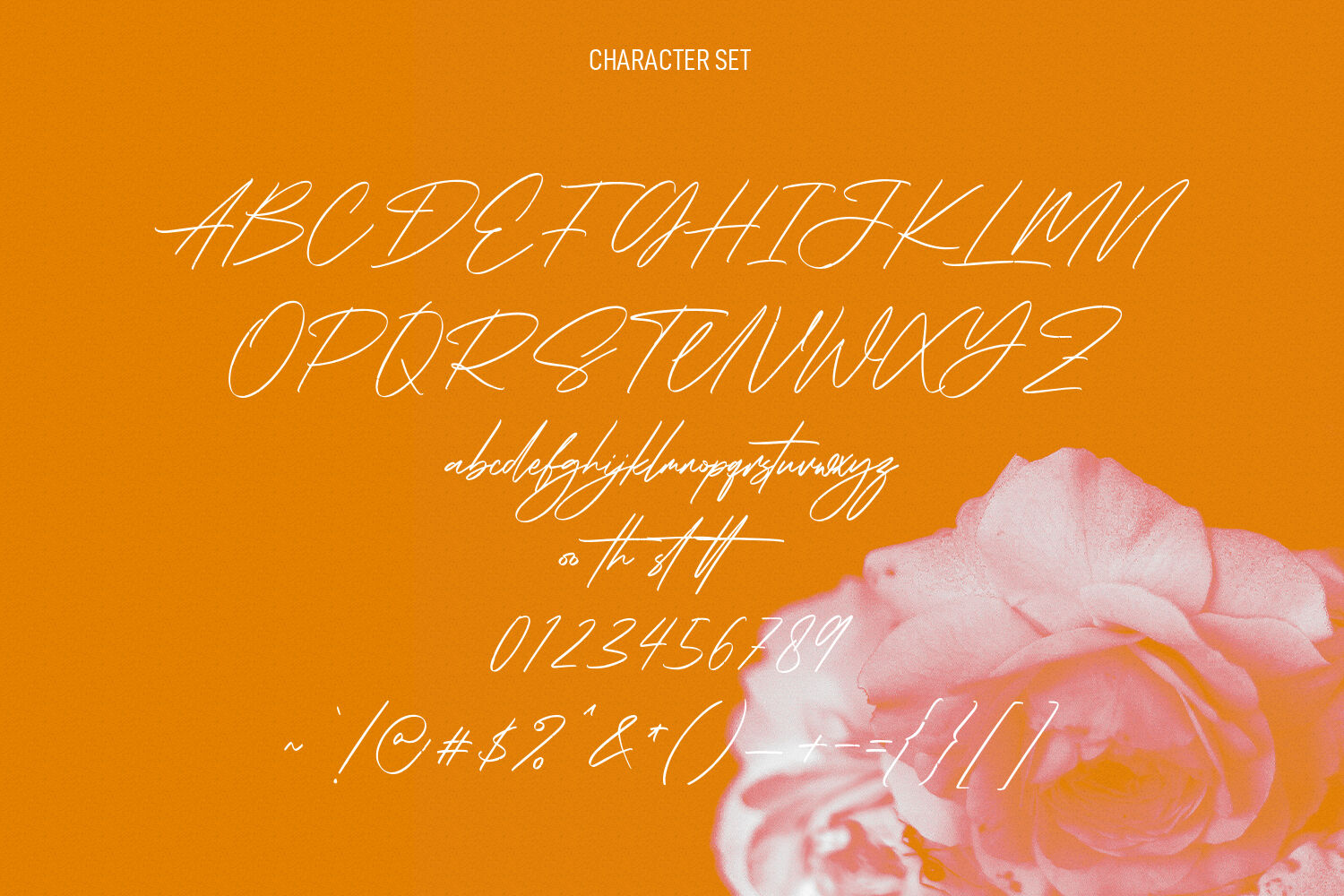 Sweets Holly Signature Script Font By Maulana Creative | TheHungryJPEG