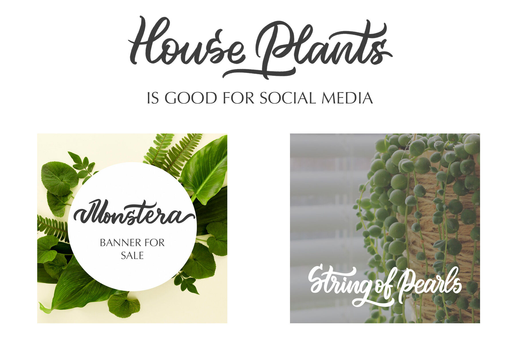 House plants lettering set By Lettering_Logo | TheHungryJPEG