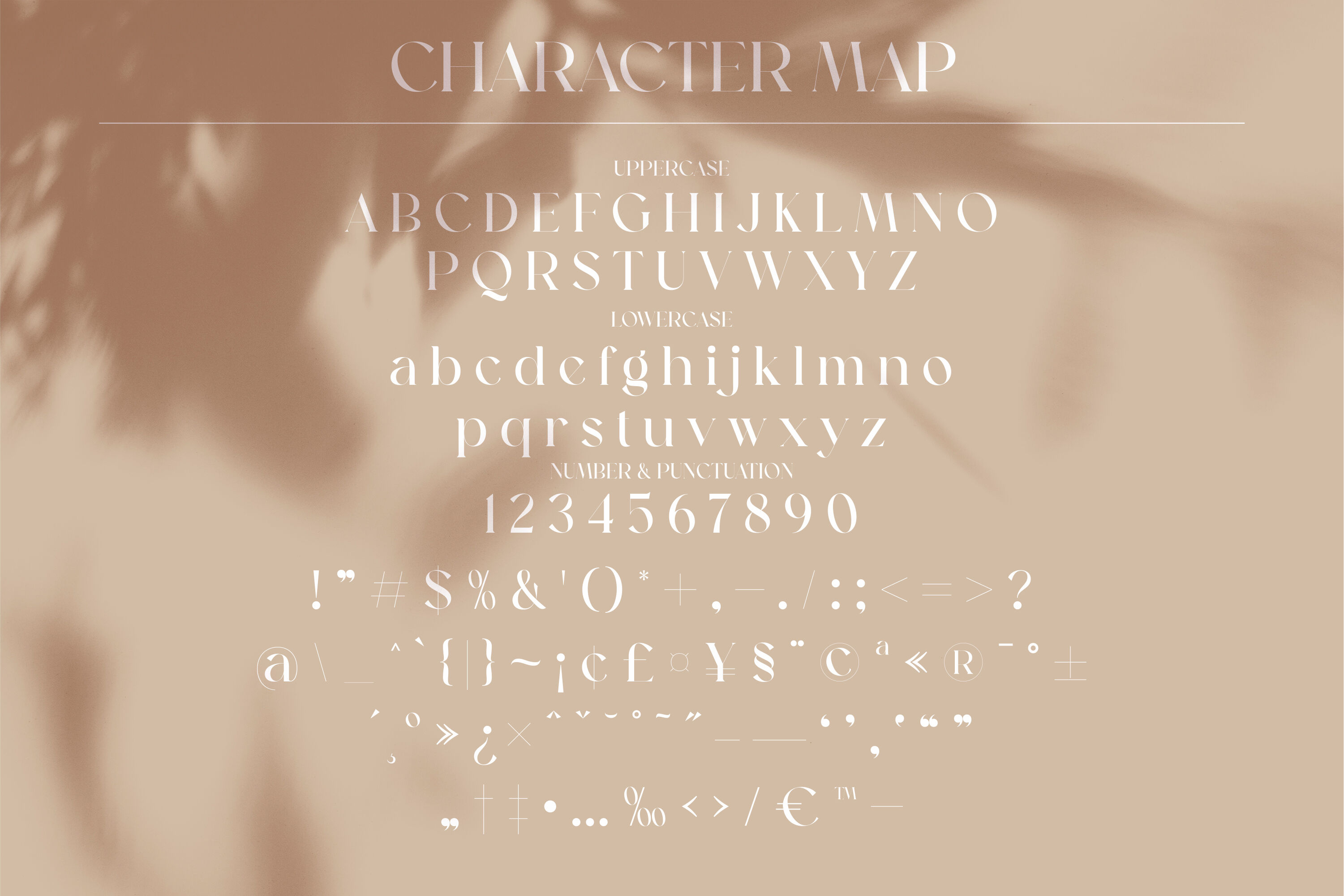 Glamour Karlina Typeface By Storytype Studio | TheHungryJPEG