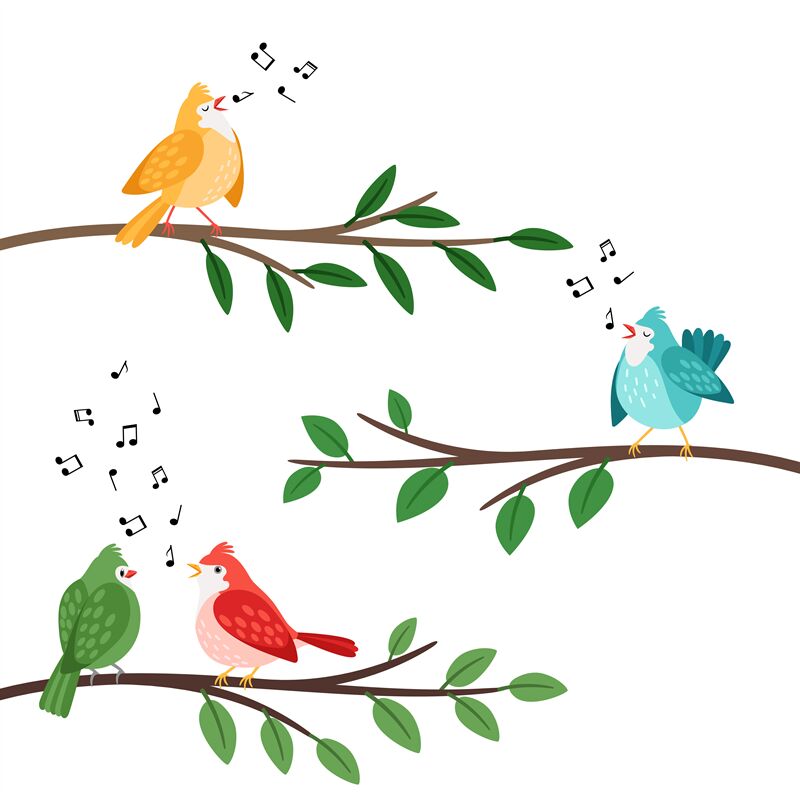 Bird songs. Singing birds friends on tree branches, birdes cartoon