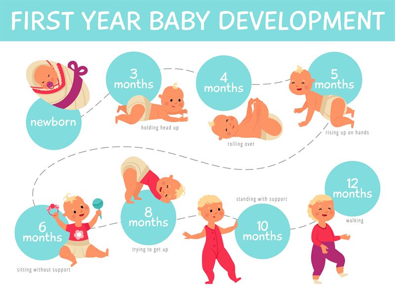 Baby growth infographics. Toddler development, infant child growing li ...