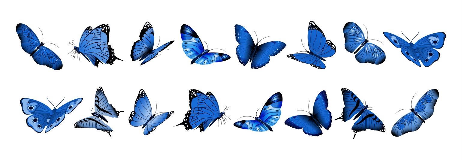 Realistic blue butterflies. Flying butterfly, isolated bright insects By  Microvector