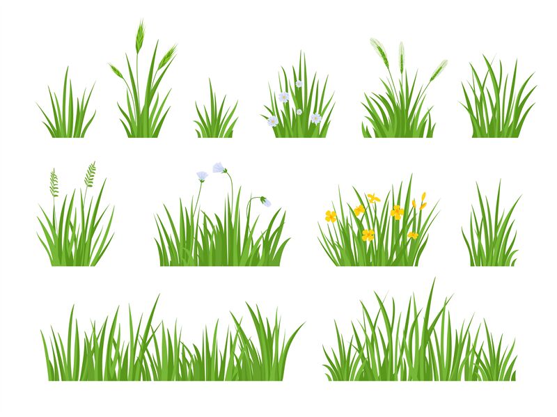 Cartoon green meadow grass with flower, herbs and spike ears. Spring g By  Tartila | TheHungryJPEG