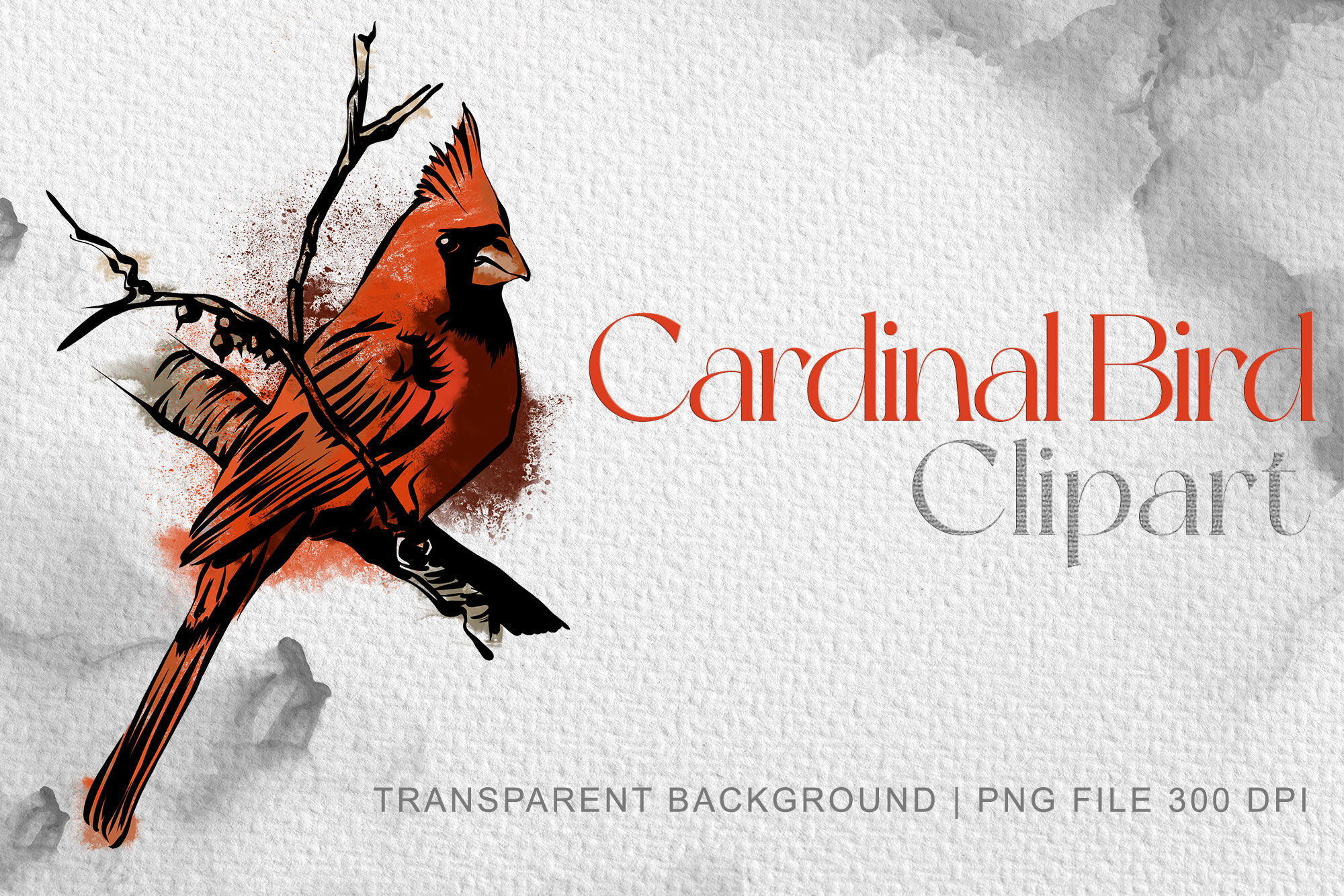 cardinal bird clipart