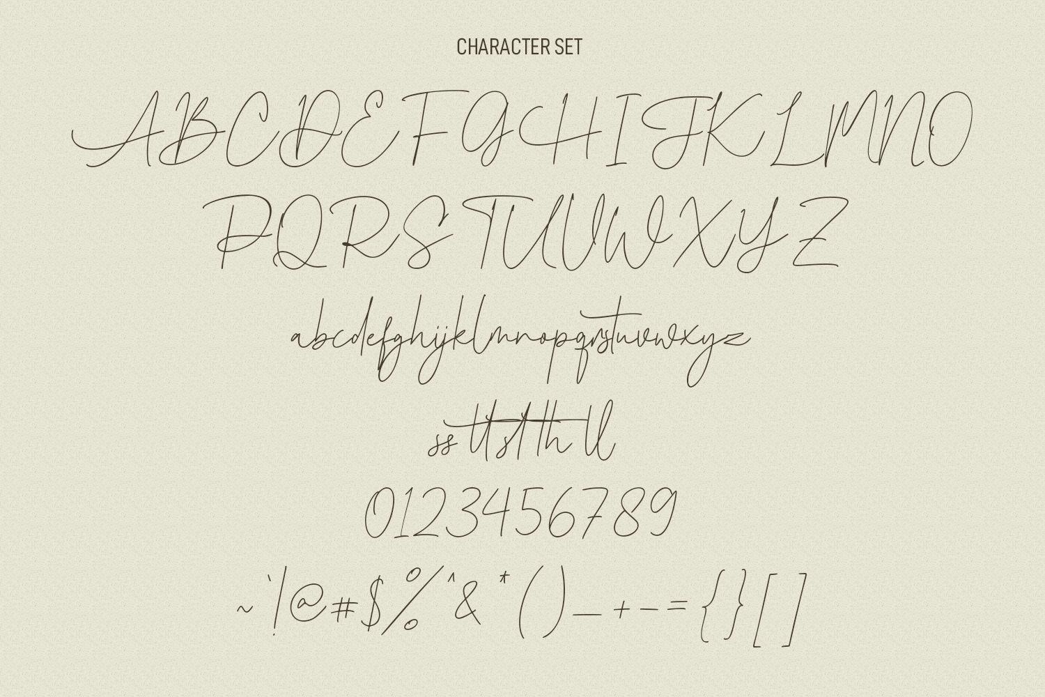 Brad Rowland Signature Font By Maulana Creative | TheHungryJPEG