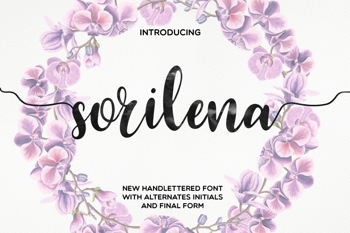 Sorilena Script By Mellow Design Lab Thehungryjpeg Com