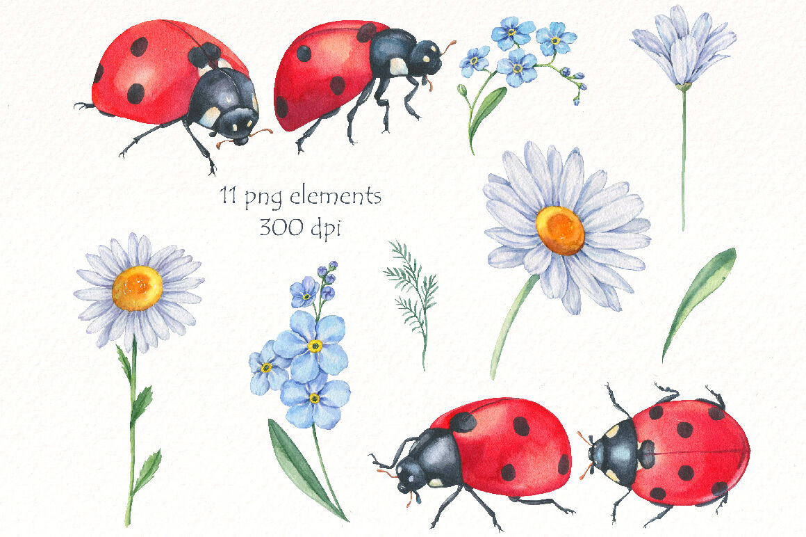 Ladybug Clipart, Lady Bug, Insect PNG, Sublimation Designs