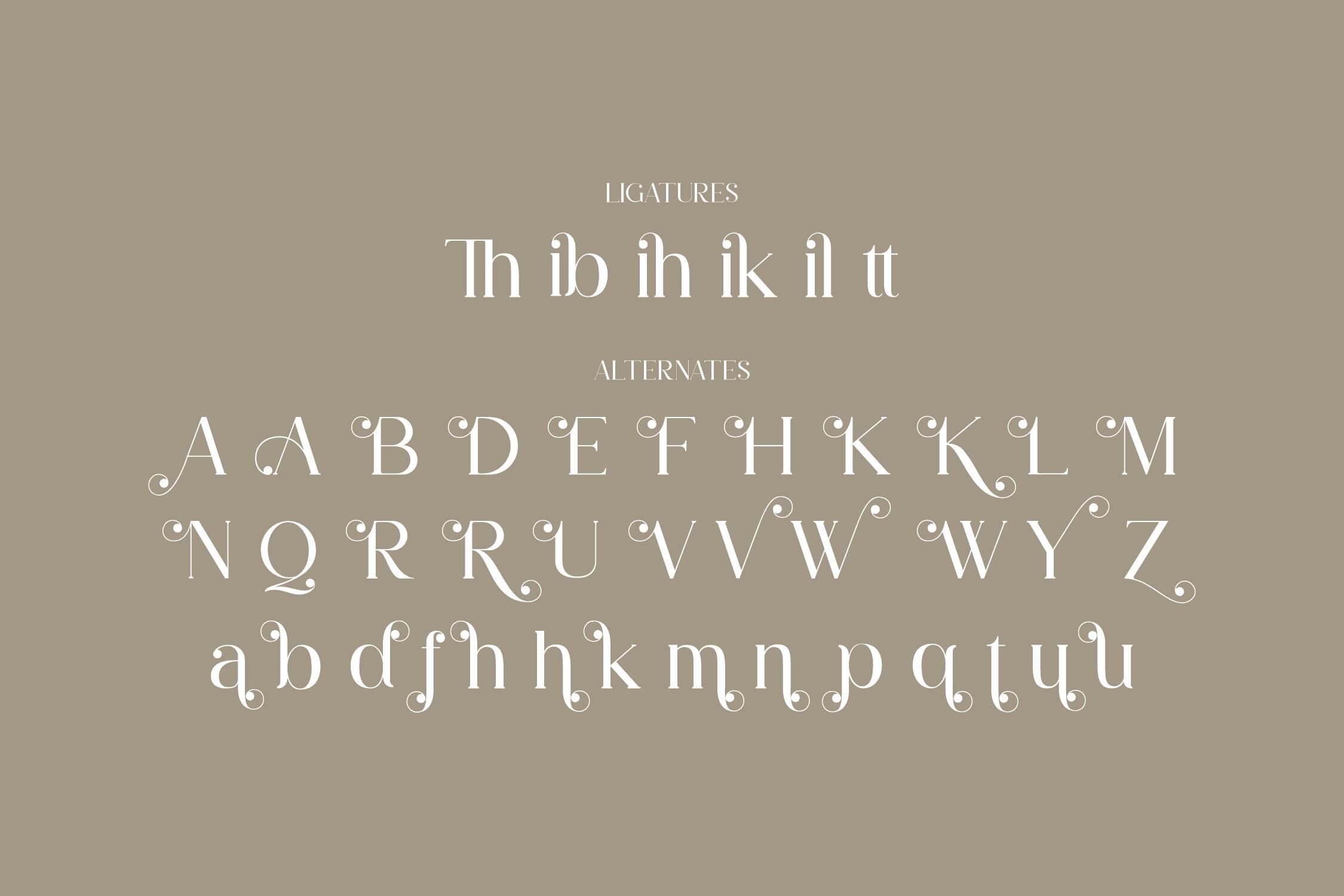 Rihena Typeface By Storytype Studio | TheHungryJPEG