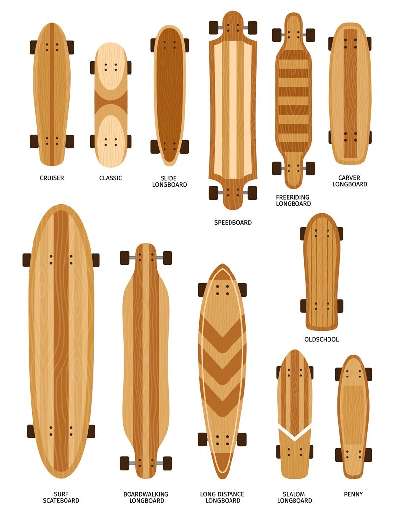 Cartoon skate deck sizes and forms. longboard, surf By Tartila | TheHungryJPEG