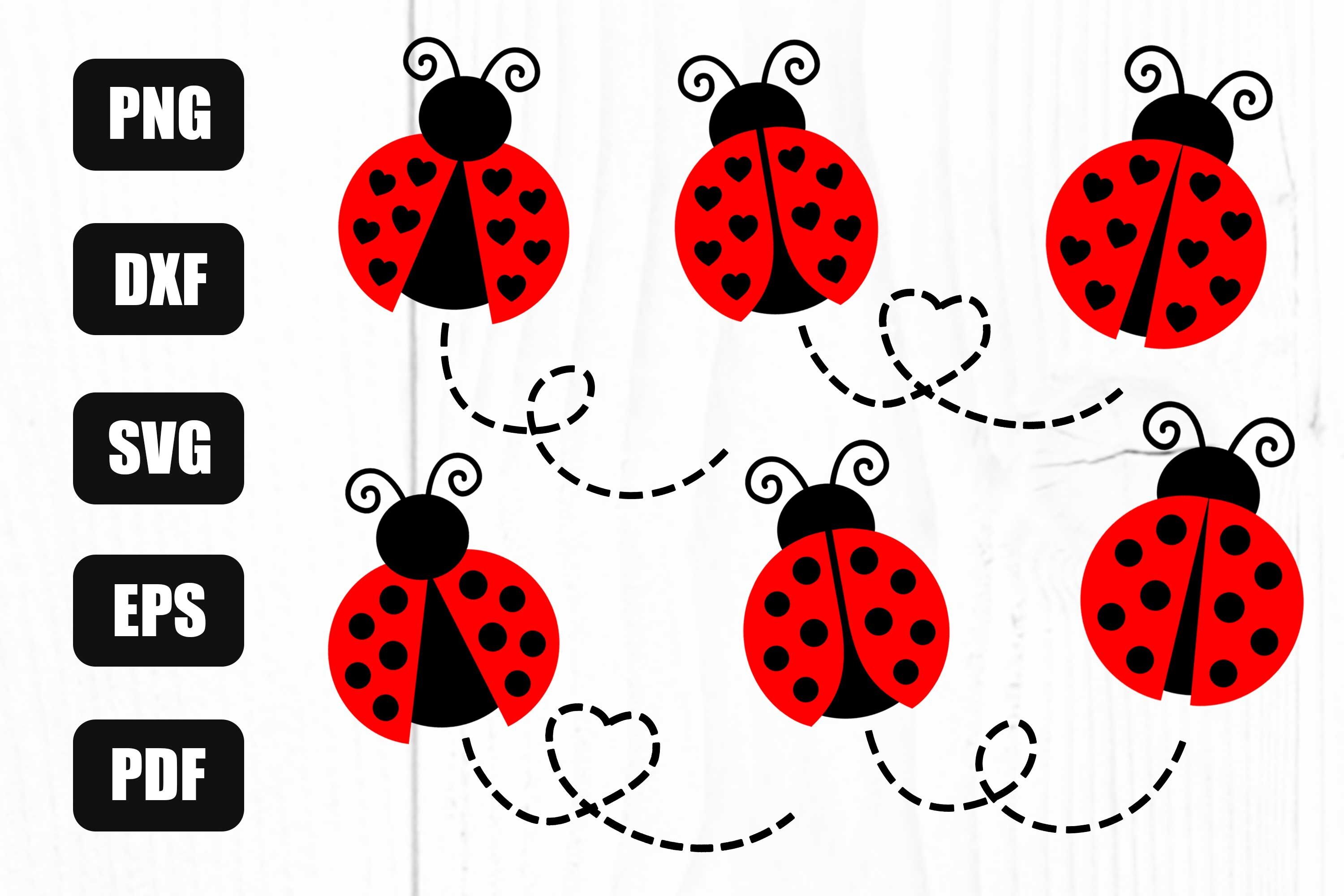 Buy Ladybug Eps Png online in USA