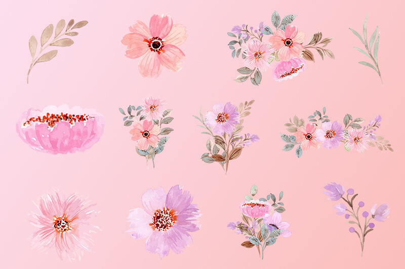 12 Watercolor Flower (PNG transparent) By vito12 | TheHungryJPEG