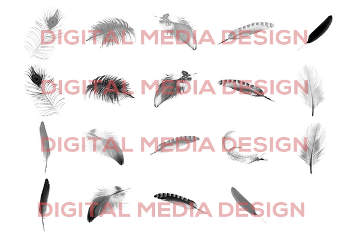 100 FEATHERS TRANSPARENT PNG DIGITAL PHOTOSHOP OVERLAYS BACKDROPS BACKGROUNDS 