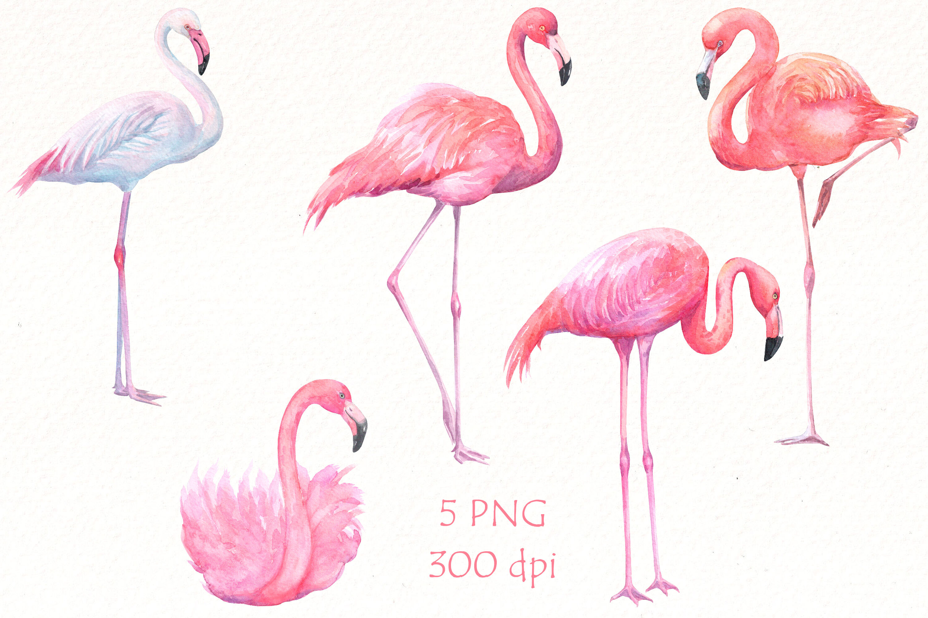 Watercolor flamingo sublimation png t-shirt design By Flamingo