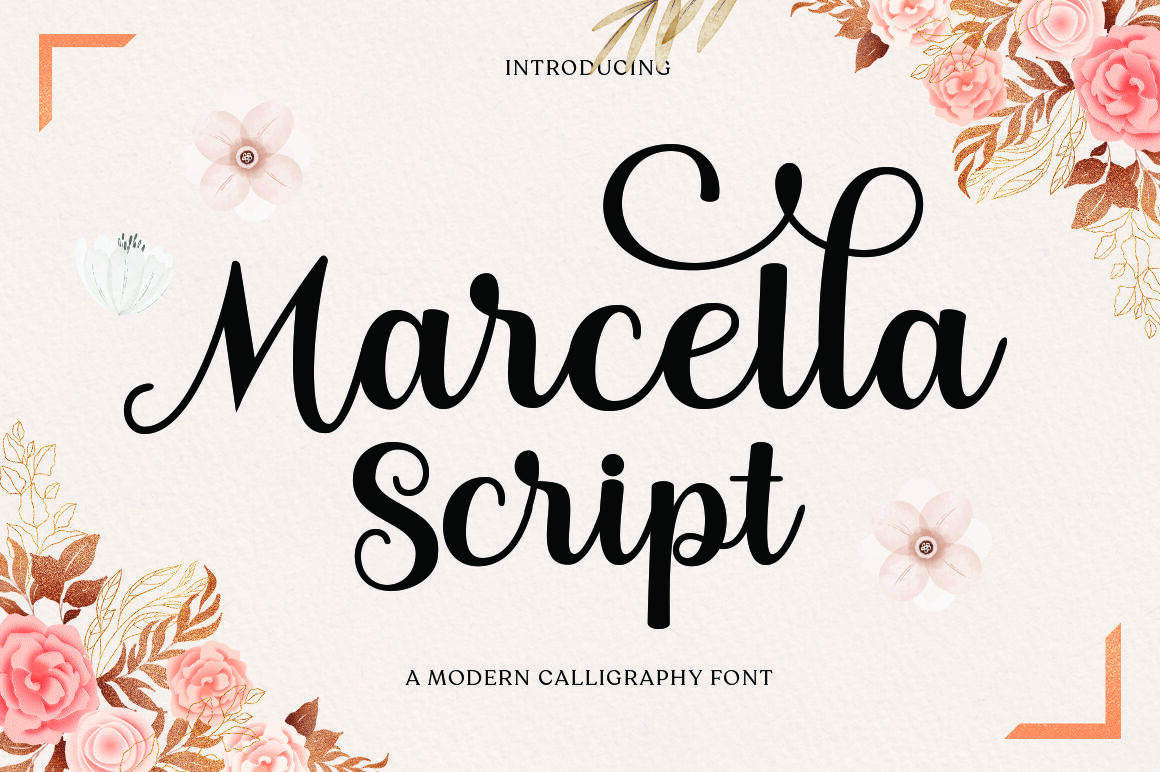 Marcella Script By akifatype | TheHungryJPEG
